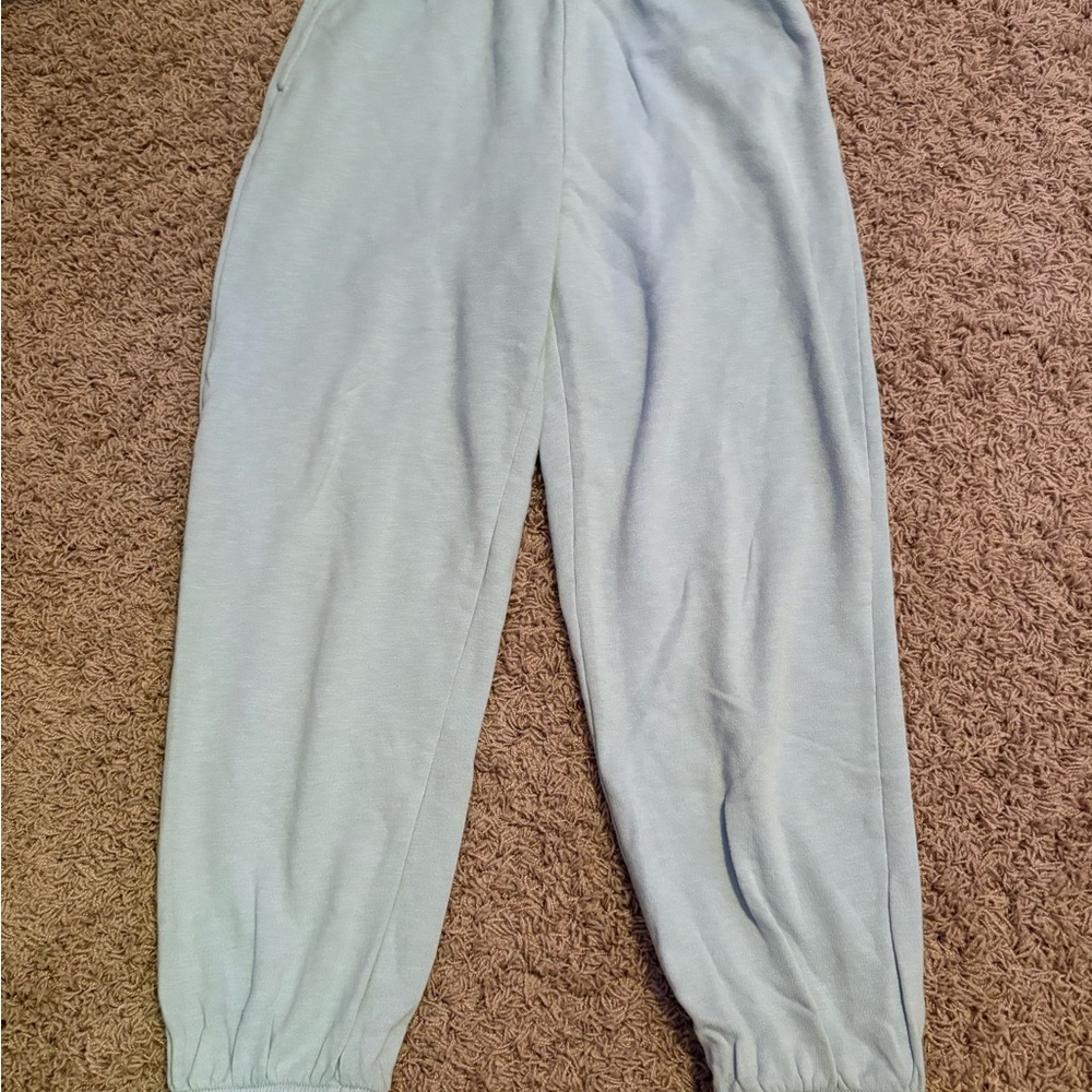 American Eagle Outfitters Blue Track Pants